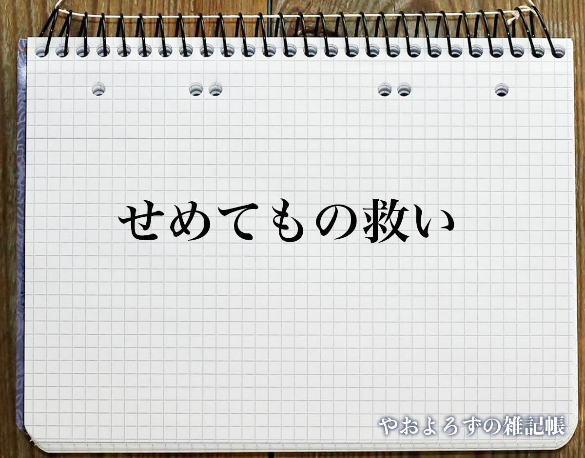 「せめてもの救い」とは？