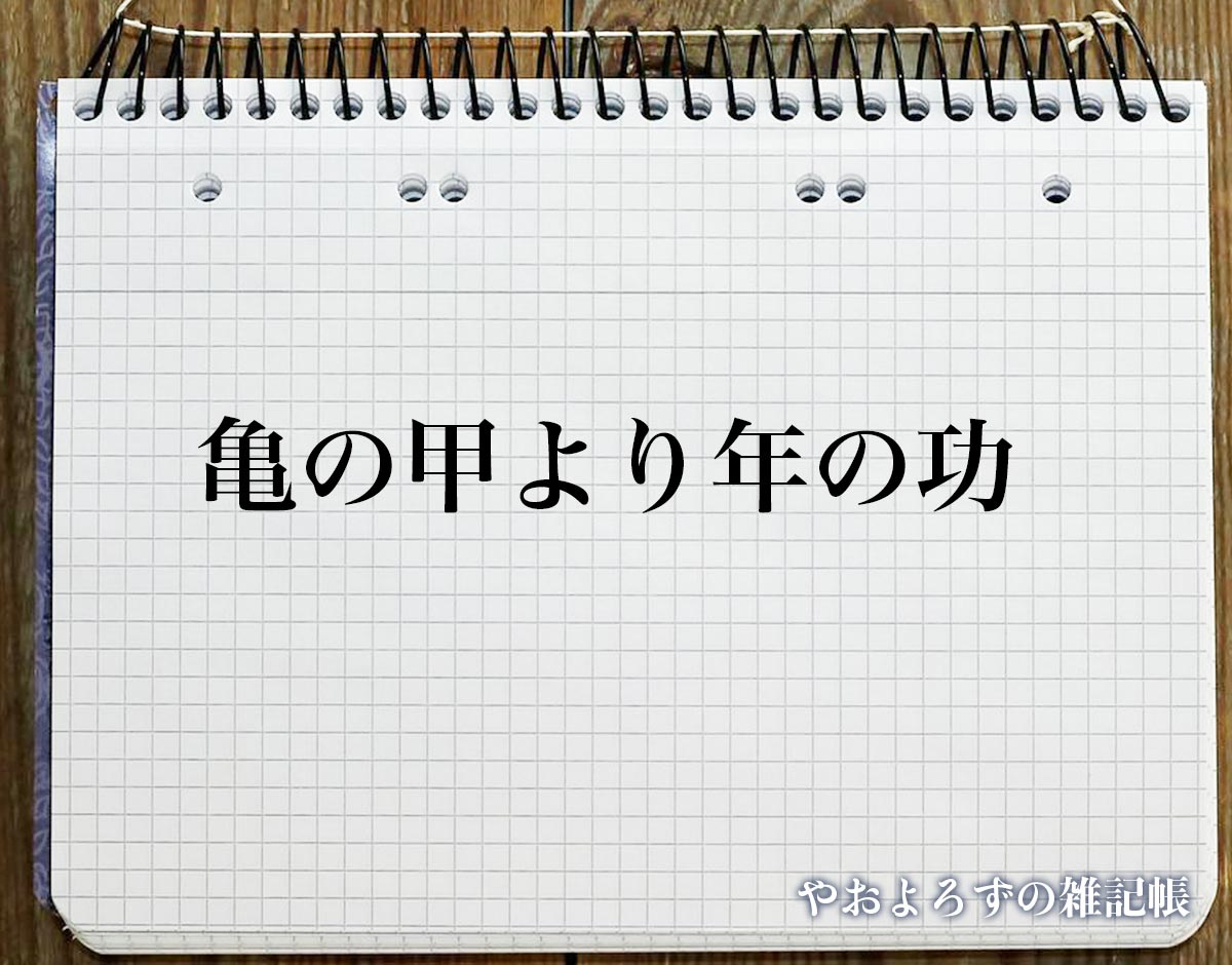 「亀の甲より年の功」とは？