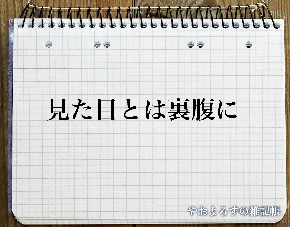 「見た目とは裏腹に」とは？