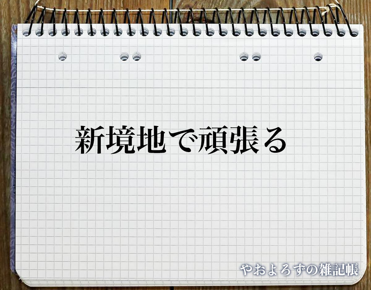 「新境地で頑張る」とは？