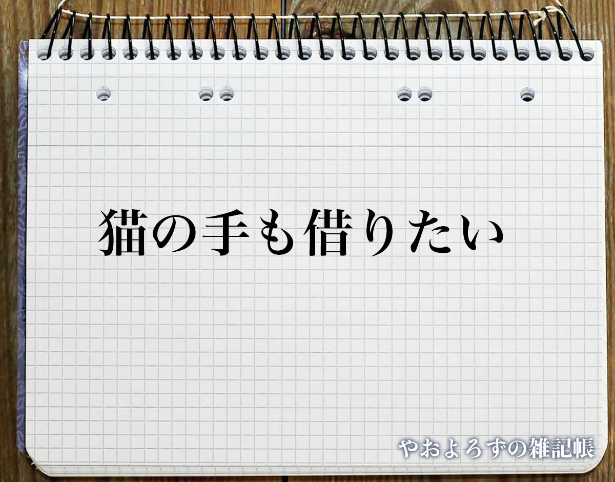 「猫の手も借りたい」とは？