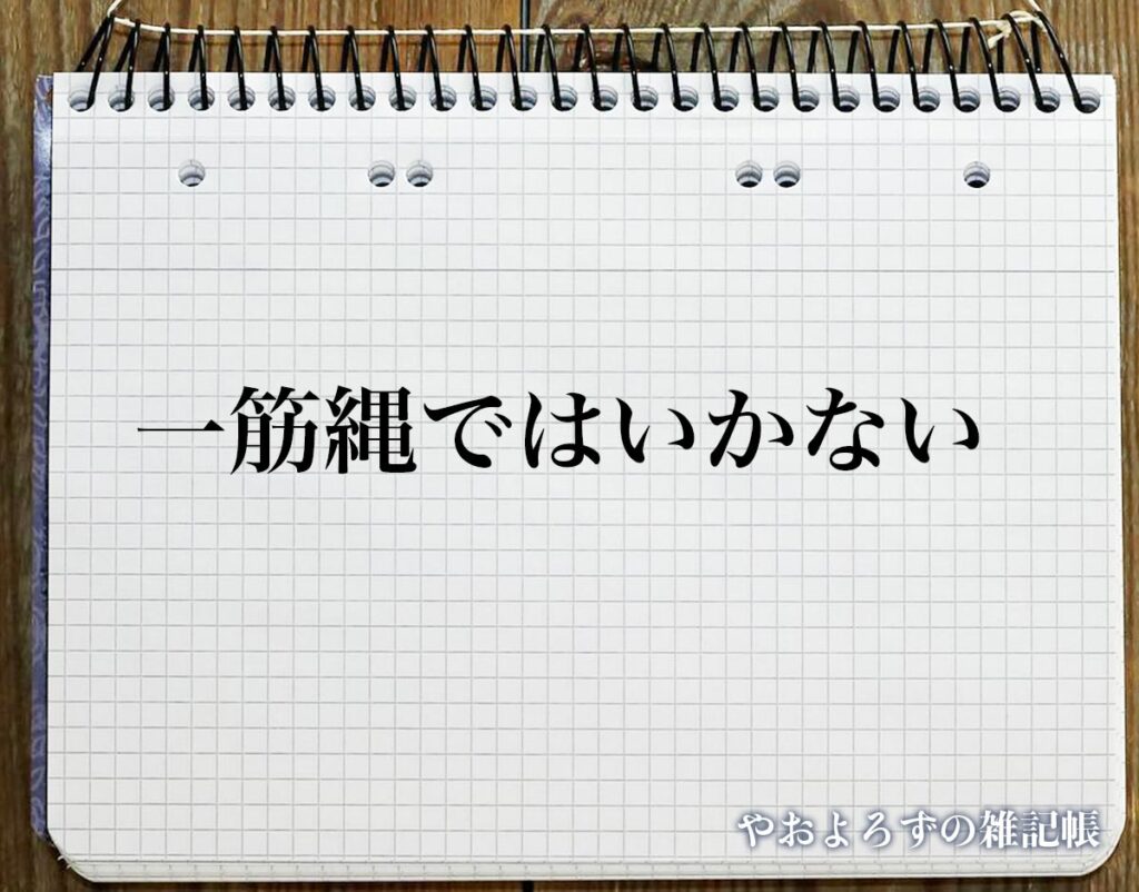 「一筋縄ではいかない」とは?意味や言葉の使い方など分かりやすく解釈 | やおよろずの雑記帳