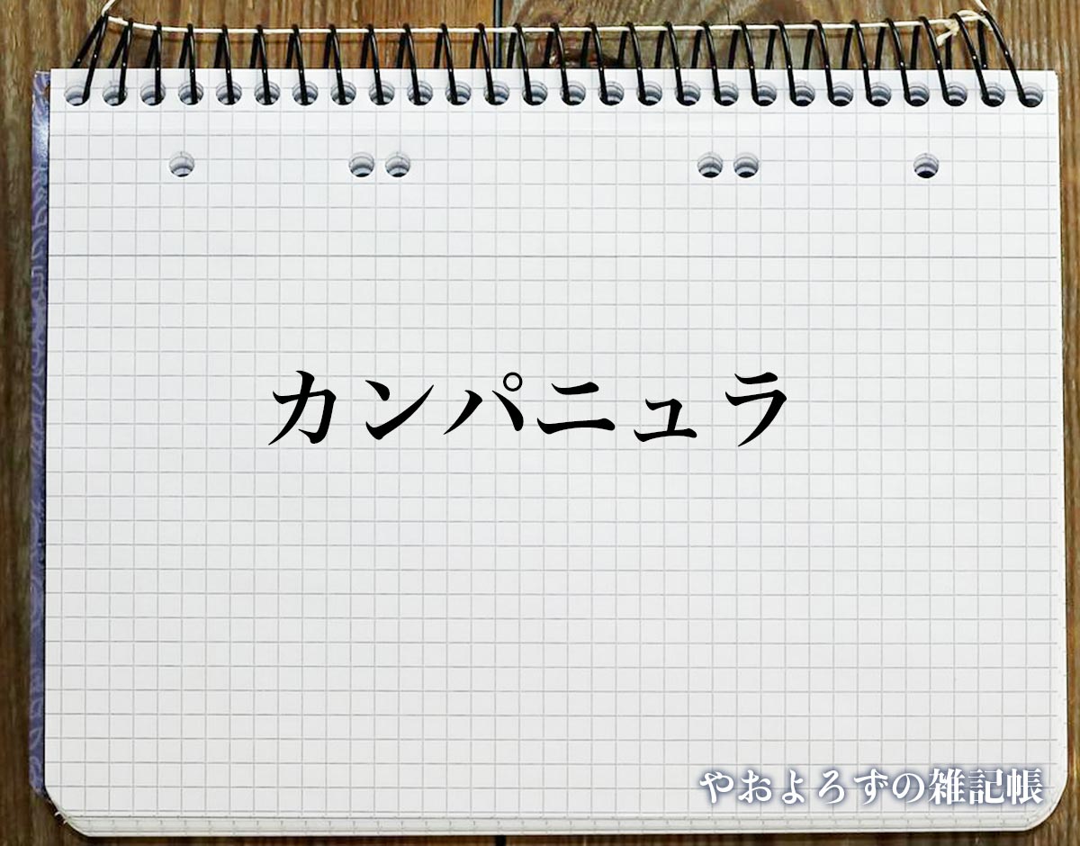 「カンパニュラ」の花言葉とは？