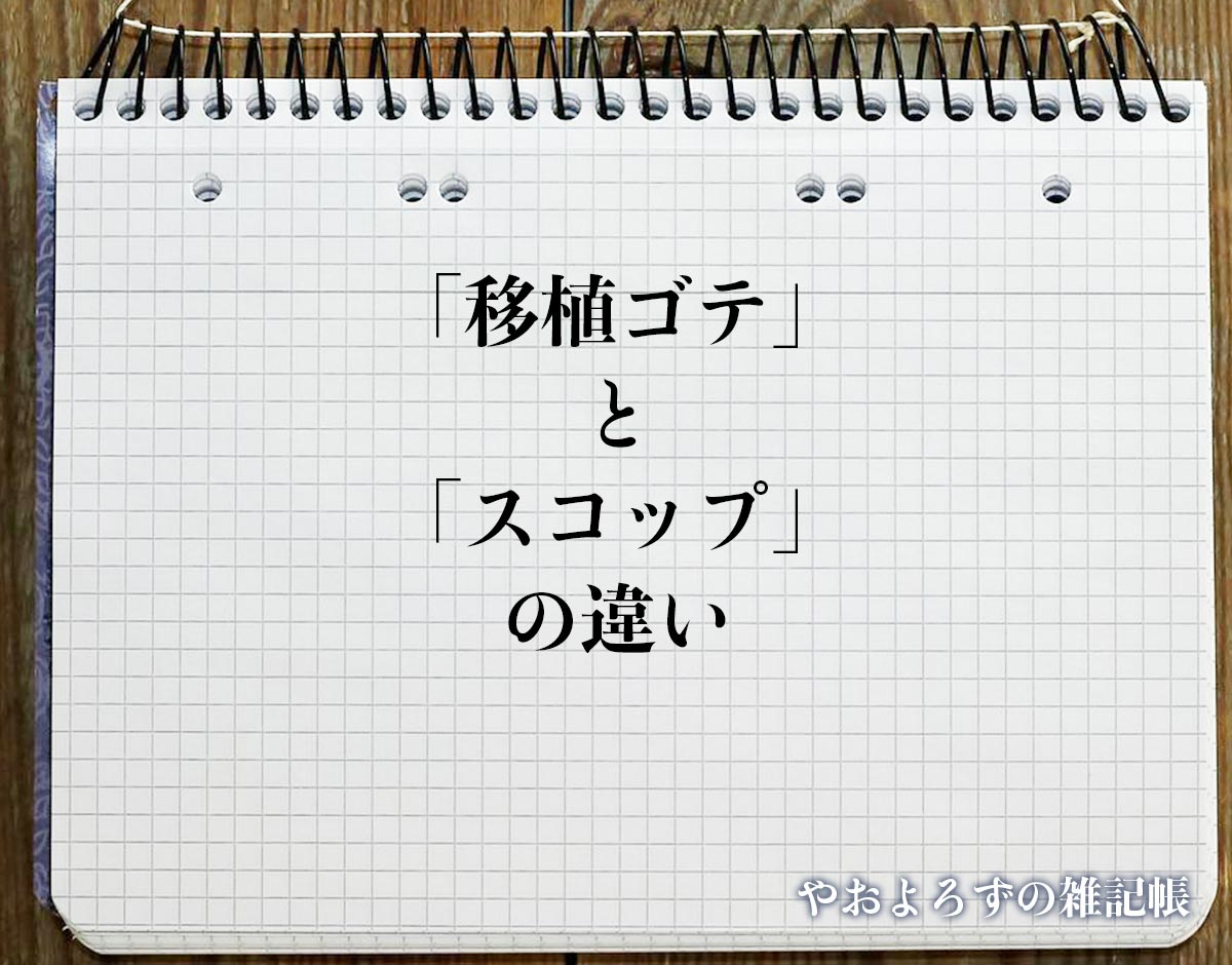 「移植ゴテ」と「スコップ」の違い