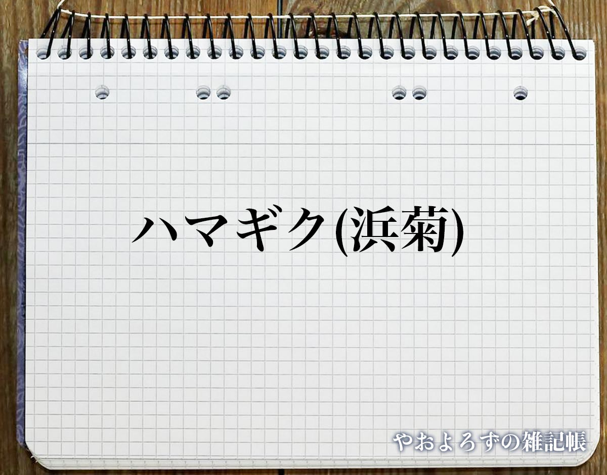 「ハマギク(浜菊)」の花言葉とは？