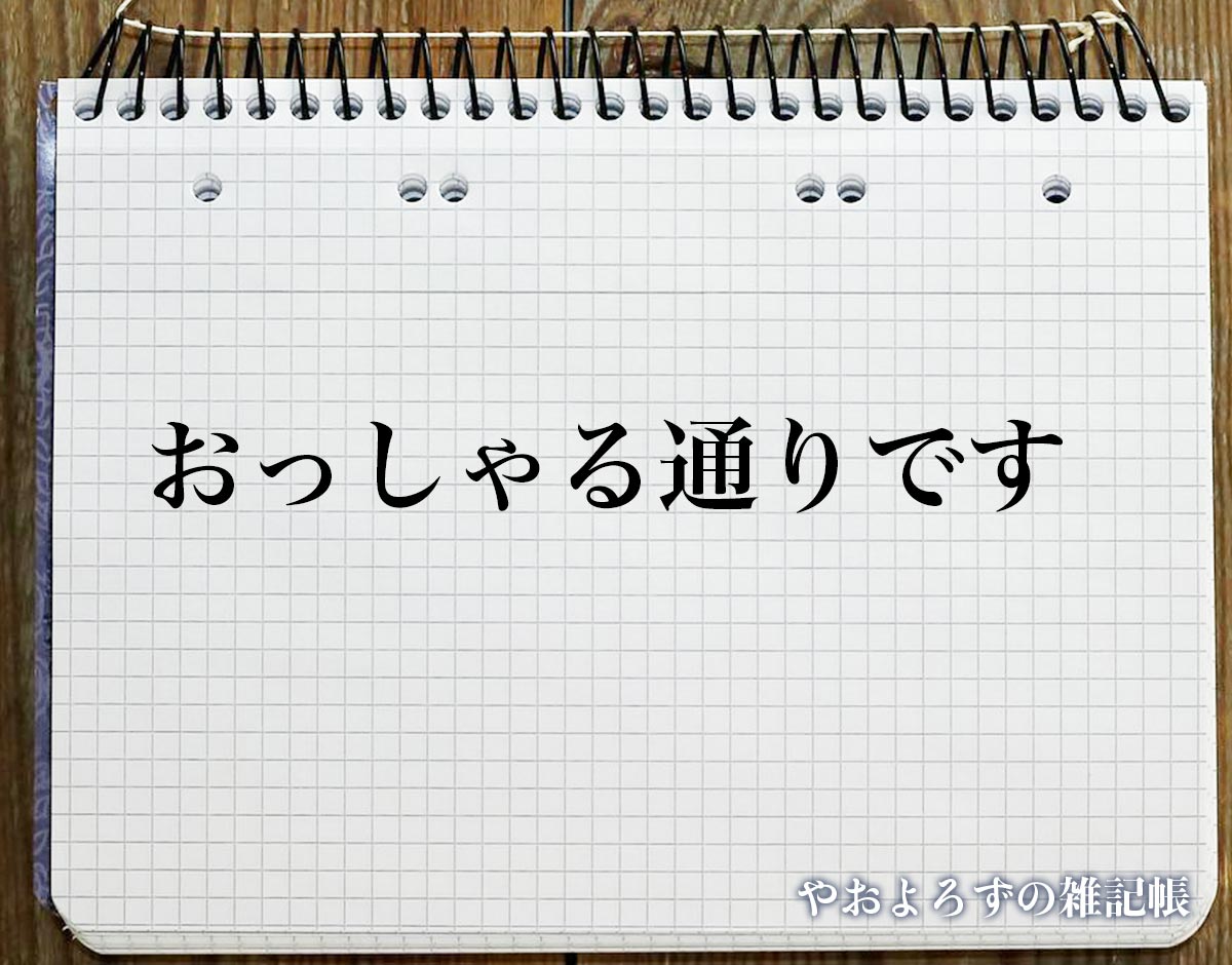 「おっしゃる通りです」の敬語での使い方とは？