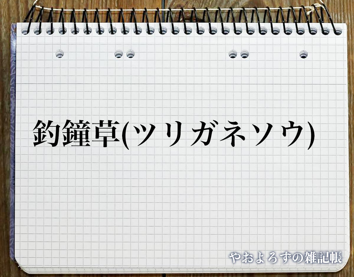 「釣鐘草(ツリガネソウ)」の花言葉とは？