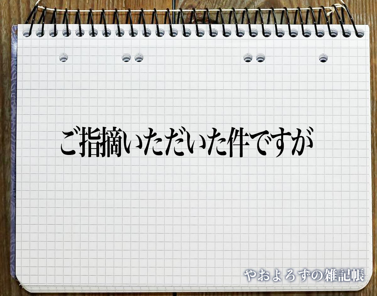 「ご指摘いただいた件ですが」とは？