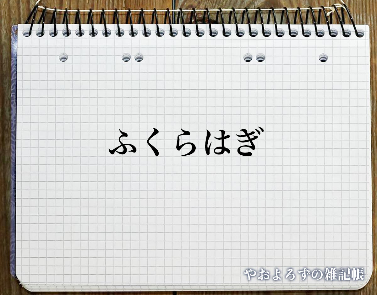 「ふくらはぎ」のスピリチュアル的な意味