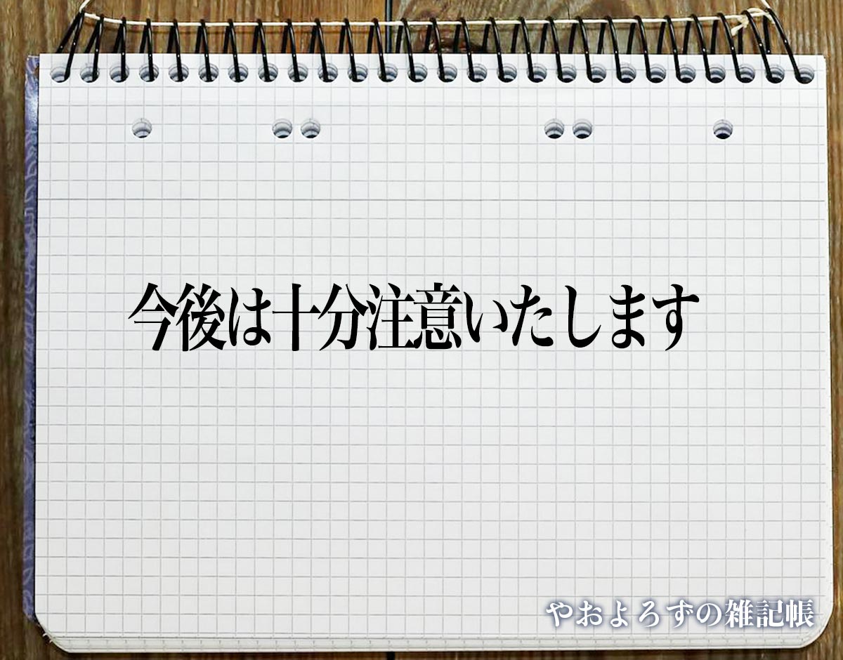 「今後は十分注意いたします」とは？