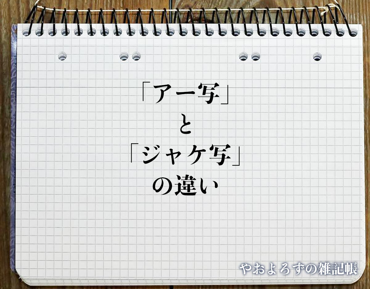 「アー写」と「ジャケ写」の違いとは？