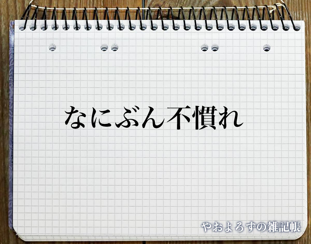 「なにぶん不慣れ」とは？