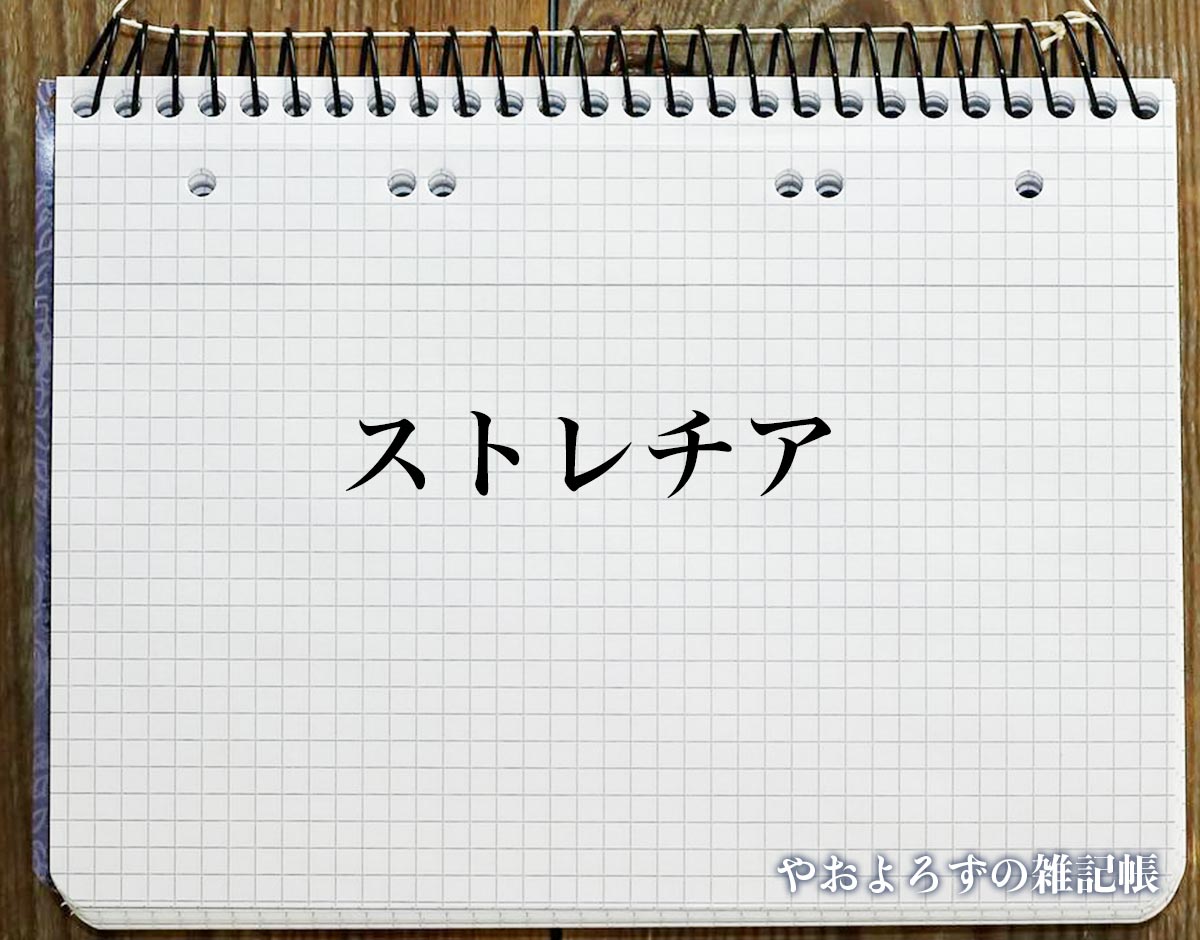 「ストレチア」の風水での解釈