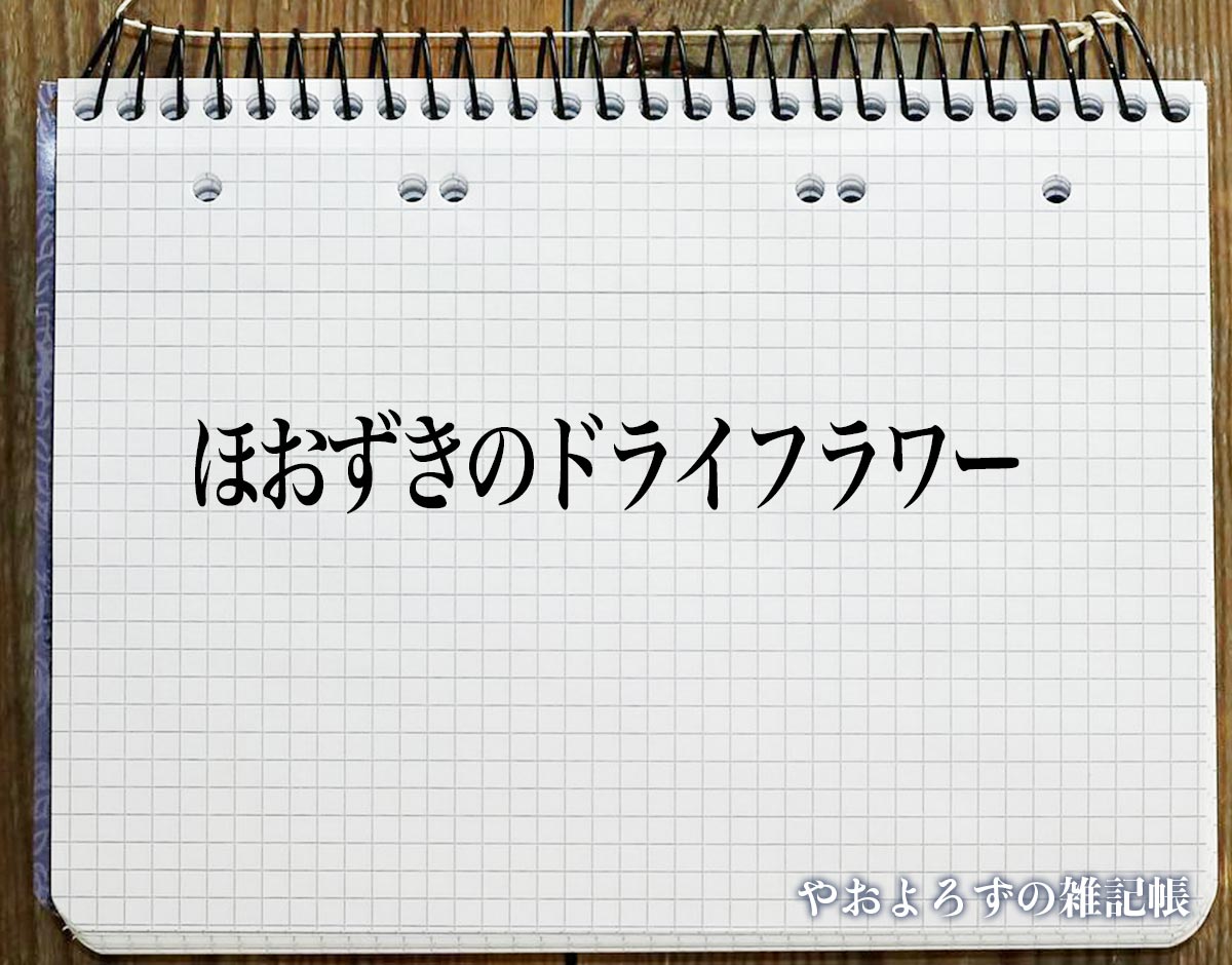 「ほおずきのドライフラワー」の風水での解釈